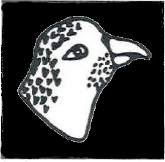 formation insignia