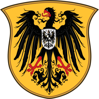 formation insignia