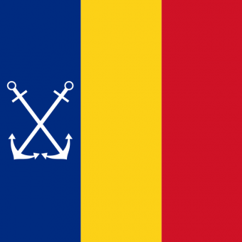 formation insignia