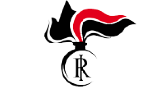 formation insignia