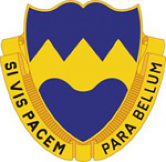 formation insignia