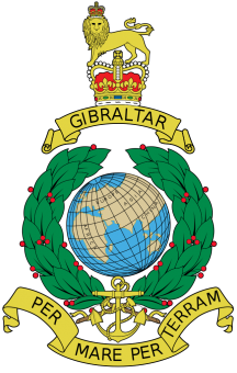 formation insignia