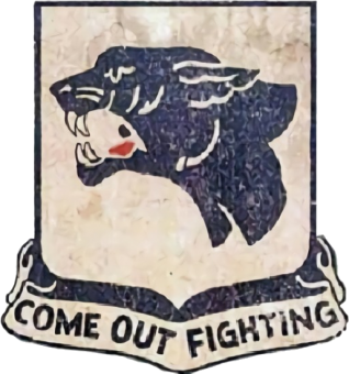 formation insignia
