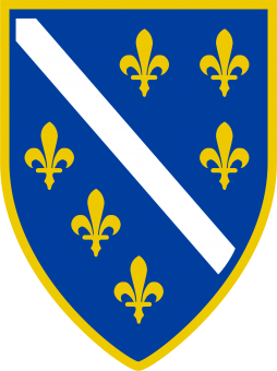 formation insignia
