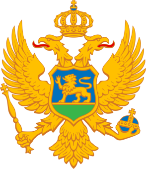 formation insignia