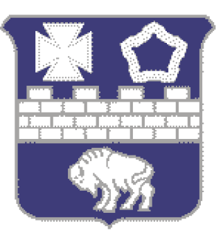 formation insignia