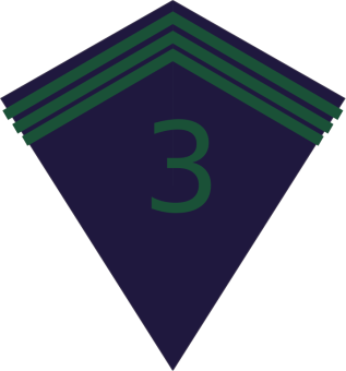 formation insignia