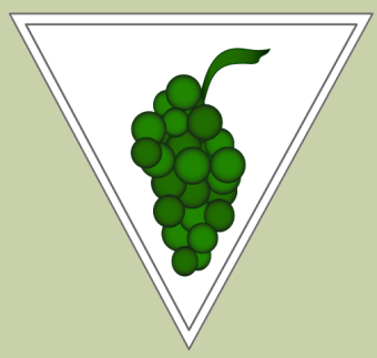 formation insignia