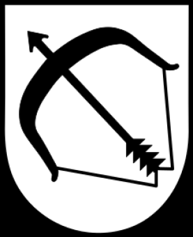 formation insignia