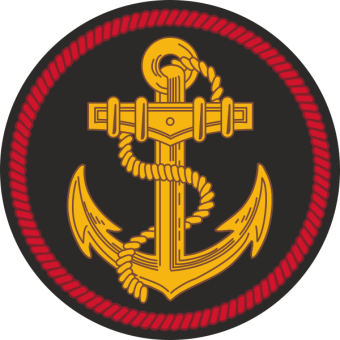 formation insignia