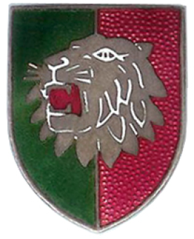 formation insignia
