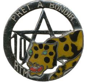 formation insignia