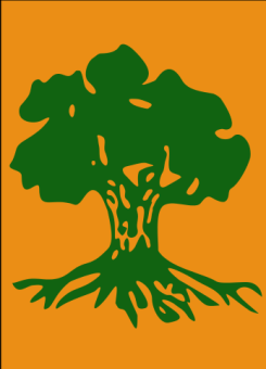 formation insignia