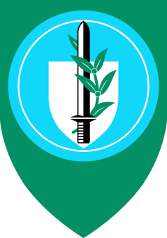 formation insignia
