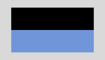 formation insignia