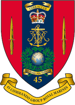 formation insignia