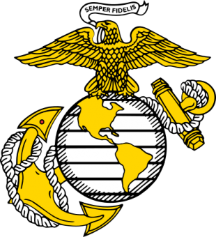 formation insignia