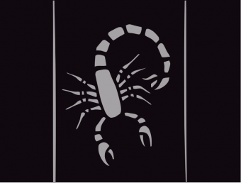 formation insignia