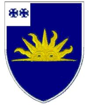 formation insignia