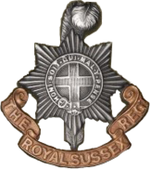 formation insignia