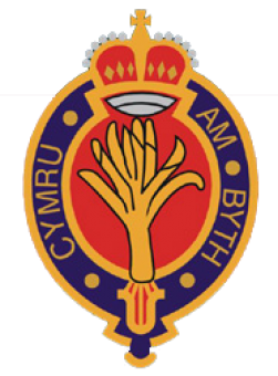 formation insignia