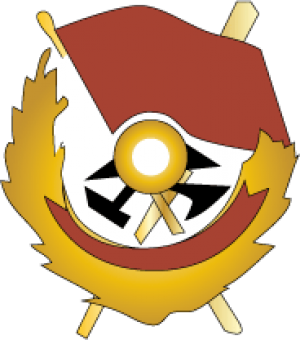 formation insignia