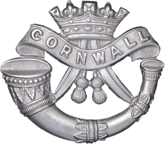 formation insignia