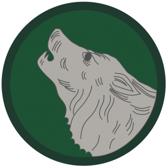 formation insignia