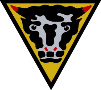 formation insignia
