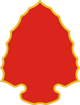 formation insignia