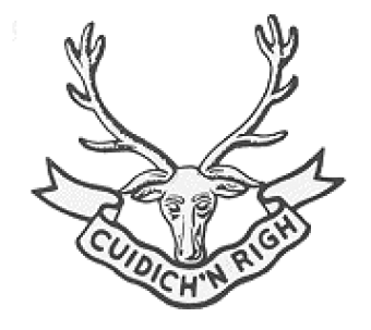 formation insignia