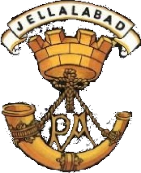 formation insignia
