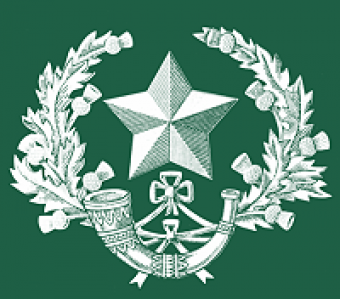 formation insignia