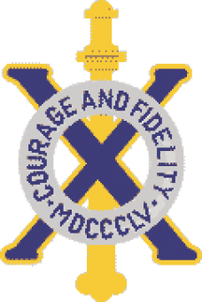 formation insignia