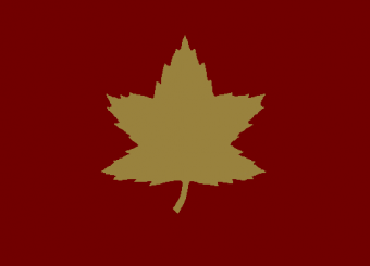 formation insignia