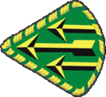 formation insignia