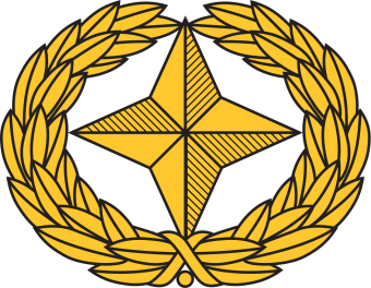 formation insignia