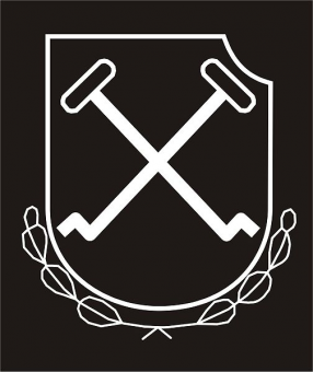 formation insignia