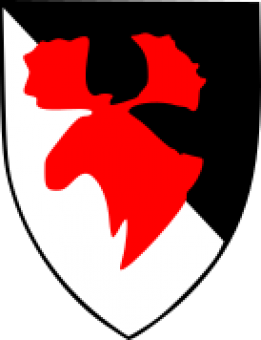 formation insignia