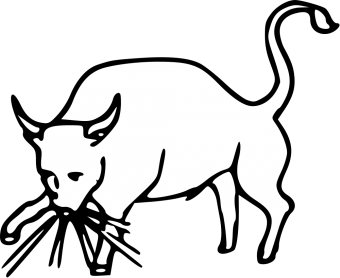 formation insignia