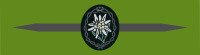 Edelweiss Tour of Duty Ribbon