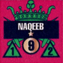 Panzer Grenadier Headquarters Library Unit: Kingdom of Jordan Royal Jordanian Army Naqeeb for Panzer Grenadier game series