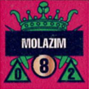 Panzer Grenadier Headquarters Library Unit: Kingdom of Jordan Royal Jordanian Army Molazim for Panzer Grenadier game series